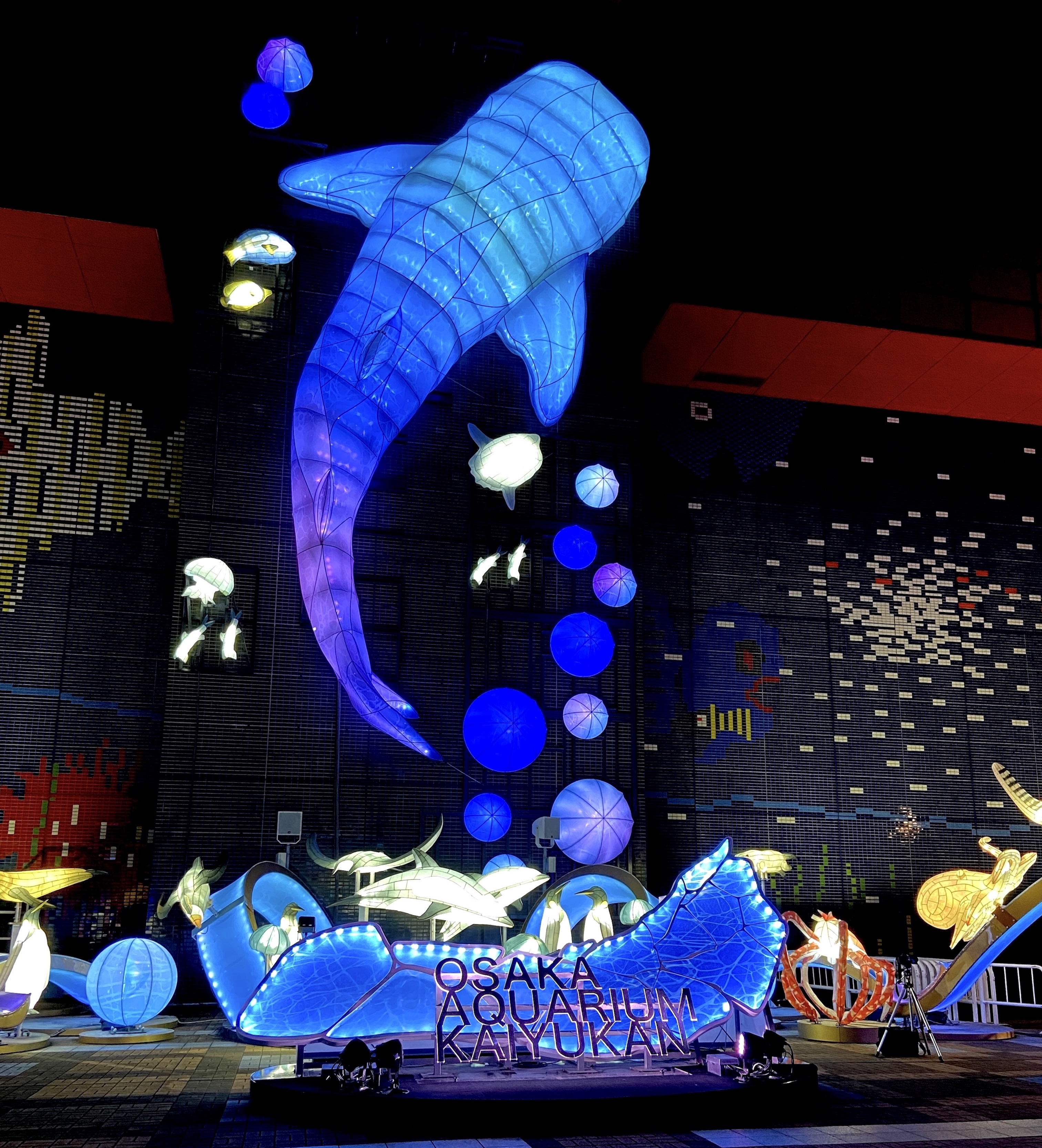 osaka aquarium kaiyukan